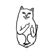 Vector isolated cute cartoon funny white cat showing two middle fingers fuck ripndip brand print colorless black and white easy doodle drawing