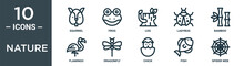 Nature Outline Icon Set Includes Thin Line Squirrel, Frog, Log, Ladybug, Bamboo, Flamingo, Dragonfly Icons For Report, Presentation, Diagram, Web Design