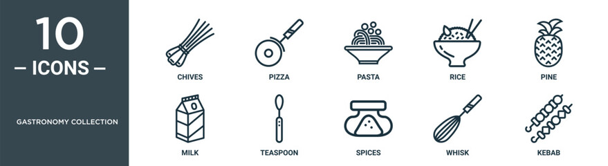 gastronomy collection outline icon set includes thin line chives, pizza, pasta, rice, pine, milk, teaspoon icons for report, presentation, diagram, web design