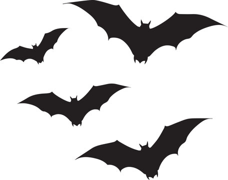 halloween bat and bats