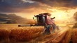 Harvester harvests in a wheat field. Combine harvester working in a wheat field. Harvest concept.