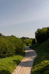 Wall Mural - Rural road for cars and transport