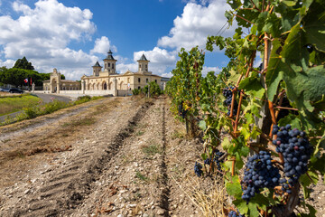 Canvas Print - Vineyards with Chateau Cos d'Estournel, Bordeaux, Aquitaine, France