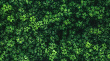 Abstract Background Green Clover Texture 