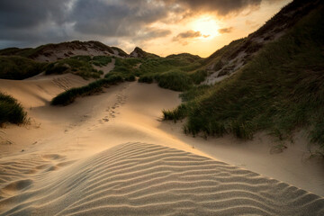 Wall Mural - sunset over sand dunes