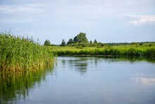 Krutynia River In Masuria In Eastern Poland