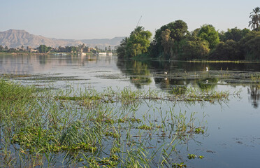 Wall Mural - Landscape view across nile river to luxor west bank