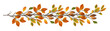 © Ortis - Autumn twig with colorful leaves in a seasonal garland isolated on white or transparent background