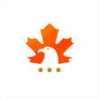 maple leaf and eagle icon logo illustration