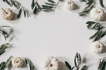Wall Mural - Autumn floral decorative frame with vegetable. White little pumpkins, olive tree leaves and branches isolated on table background. Seasonal banner for Thanksgiving, Halloween. Winter holiday flat lay