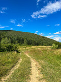 Fototapeta Londyn - Awesome Carpathian mountains landscape background with forest and clouds on the summer season