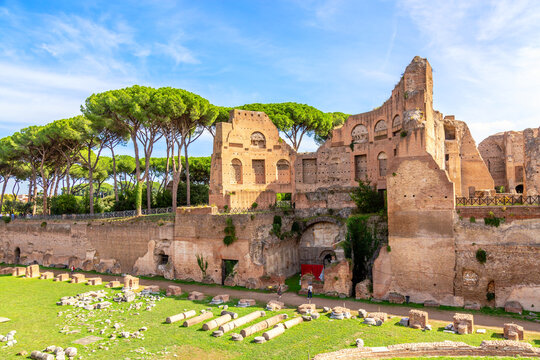 Wall Mural -  - Ruins of the Palace of Domus Severiana in Rome, Italy. Summer sunny day