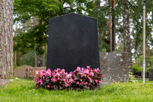 Blank Gravestone With Other Graves At Graveyard. Trees On Back.