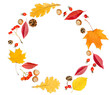 circular autumn composition of oak and maple leaves, berries, nuts and cones on a white isolated background
