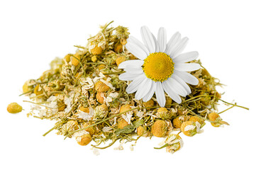 Wall Mural - dry chamomile heap and one fresh chamomile flower on white isolated background, front view