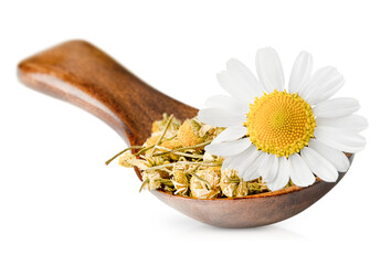 Wall Mural - dry chamomile in a wooden spoon and one fresh chamomile flower on a white isolated background