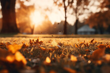 Autumn Is A Magical Time Of Year When Nature Changes Into Its Brightest Outfits. Yellow And Red Leaves, Fresh Air, And Warm Sunshine Create An Unsurpassed Atmosphere Of Melancholic Beauty.