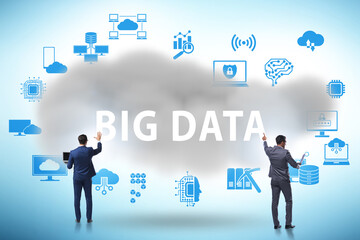 Wall Mural - Big data concept with business people