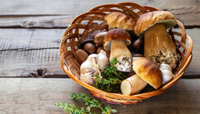Art Basket With Fresh Porcini Mushrooms In The Summer Or Autumn Season; Cep Mushrooms And Spices Herbs On A Wooden Table; Italian Recipe