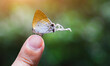 The long-tailed butterfly is catching on my finger.