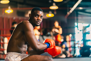 Young muscular african american male boxer looking at camera, wearing boxing gloves, standing isolated over grey background. Sports, workout and bodybuilding concept, confident african american boxer