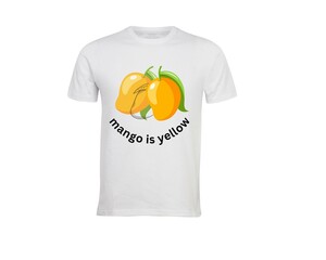 t shirt isolated on mango 