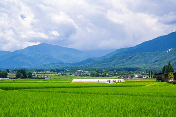 Sticker - 夏の安曇野　穂高の風景