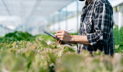  Asian couple of farmers inspects plants with a digital tablet In a greenhouse plantation. Smart farming 