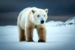 polar bear in the snow generated by AI
