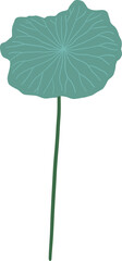 Wall Mural - Lotus leaf flat