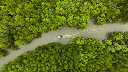 Wall Mural - Aerial view of a boat sailing on a river surrounded by dark green forest. Rich natural ecosystems of rainforests, concepts, natural forest conservation and tourism.