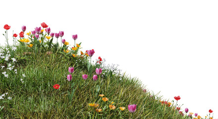 Wall Mural - Field of flowers and grass cut out on transparent background.