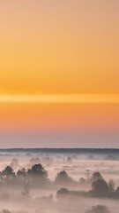 Wall Mural - Amazing Sunrise Over Misty Landscape. Scenic View Of Foggy Morning Sky With Rising Sun Above Misty Forest And River. Vertical Footage Video. Early Summer Nature Of Eastern Europe.