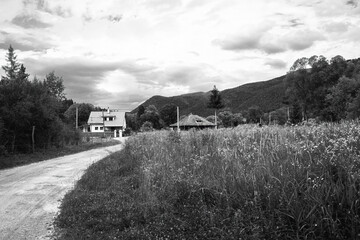 Wall Mural - Pathway in beautiful natural landscape.High quality photo