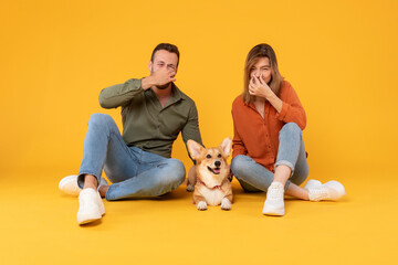 Young european man and woman closing their noses, as corgi dog farting nearby, sitting on yellow studio background, free space. Unpredictable situation