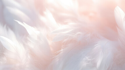 Airy soft fluffy wing bird with white feathers, macro