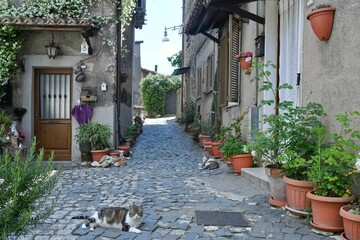 Canvas Print - The historic village of Subiaco, Italy