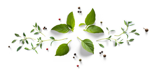 Wall Mural - Collection of fresh herb leaves. thymeand basil Spices, herbs on a white table. PNG Food background design element with transparent shadow on transparent background.
