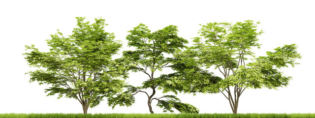 Sticker - Cutout of green trees on transparent background, png plant, 3d render illustration.