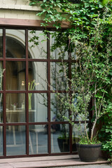 Wall Mural - Part of large window of modern small shop or cafe with reflection of green foliage of ivy and other bushes entwining building