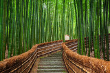Fototapeta Dziecięca - Path to bamboo forest, Arashiyama, Kyoto, Japan.