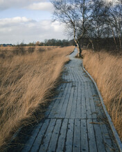Wooden Path Into A Moor Landscape