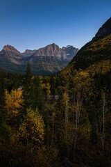 Wall Mural - Aerial view of Fall foliage in Glacier National Park, Montana