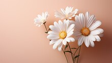  Three White Daisies Are In A Vase On A Pink Background.  Generative Ai