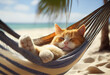 © serperm73 - The cat relaxes in a hammock by the sea on a sandy beach. AI generated.