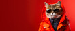 Cool looking cat wearing funky fashion dress - jacket, tie, glasses. Wide banner with space for text at side. Stylish animal posing as supermodel. Generative AI
