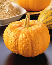 An Orange Squash Bursting With Juicy Depths Its Sweet Flavor Filling The Room. .