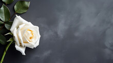 Serene Reflection: Single White Rose Echoes Profound Condolences Against Somber Concrete Background
