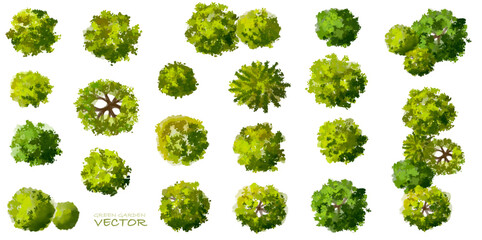Wall Mural - vector set of top view green tree for outdoor plan or map and architecture drawing, elements for env