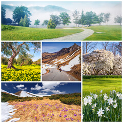 Poster - Spring collage. Set of beautiful spring landscapes arranged in a square. Wonderful outdoor scene of mountains, countryside abd blooming valleys. Beauty of nature concept background.